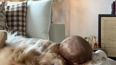 Baby and Golden Retriever Best Friends
