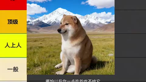 I Asked Strangers the Hardest Question Ever