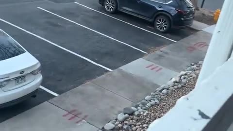 Parking Lot Demolition Derby