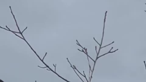 🔍🚀 Bizarre Metallic Sphere Spotted in Highlands Ranch, Colorado on Christmas Eve! | TheTruthAbove