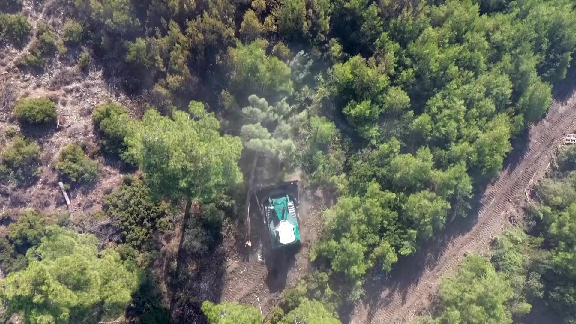 Drone footage shows scale of Turkish forest fire destruction