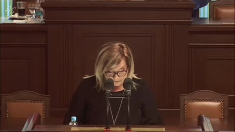 Schillerová o fialových kauzách