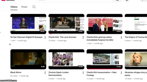 my viral Youtube channel