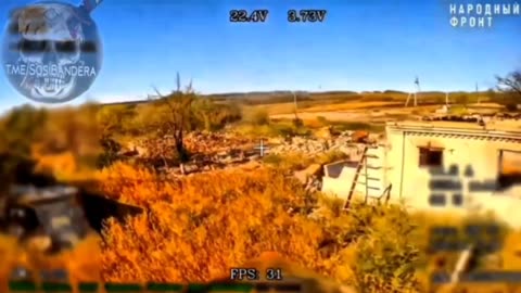 Pig didn't have time to hide and was punished for it.