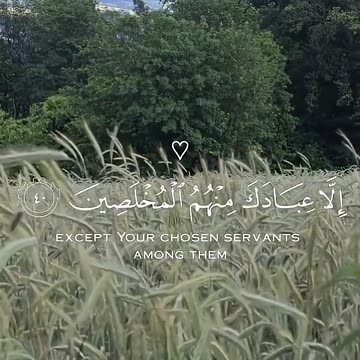 تلاوة هادئة من سورة الحجر😌__ هزاع البلوشي🤍 #قرآن #المصحف