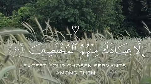 تلاوة هادئة من سورة الحجر😌__ هزاع البلوشي🤍 #قرآن #المصحف