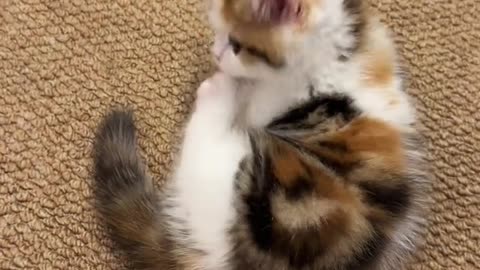 Baby, what are you eating？