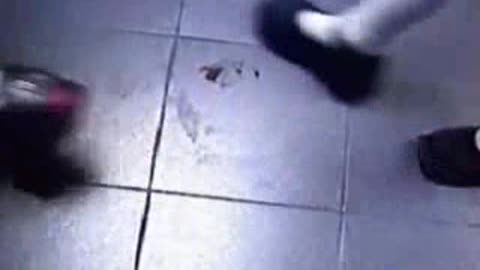 Candid Cockroach Crush