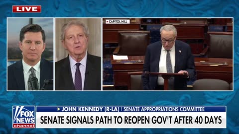 Sen Kennedy - Chuck Schumer CHOSE This Shutdown