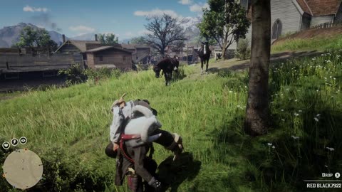 A9E Red Dead Bloody Mess pt1