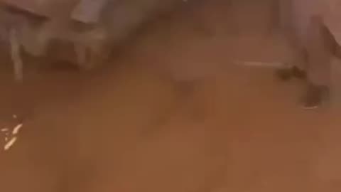 Anti-Government Forces in Sudan Shoot Down Massive Russian Cargo Plane