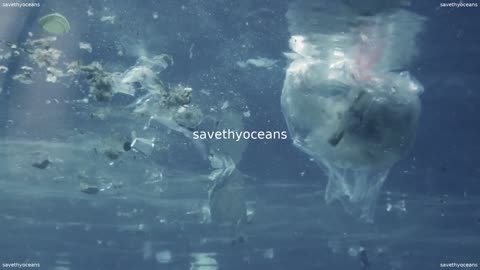 Pour La JournÃ©e Mondiale Des OcÃ©ans
