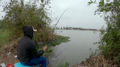 Chub Splashes in the Bright Water