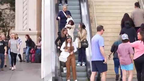 Is This the Funniest Video on the Internet? (You Decide!)