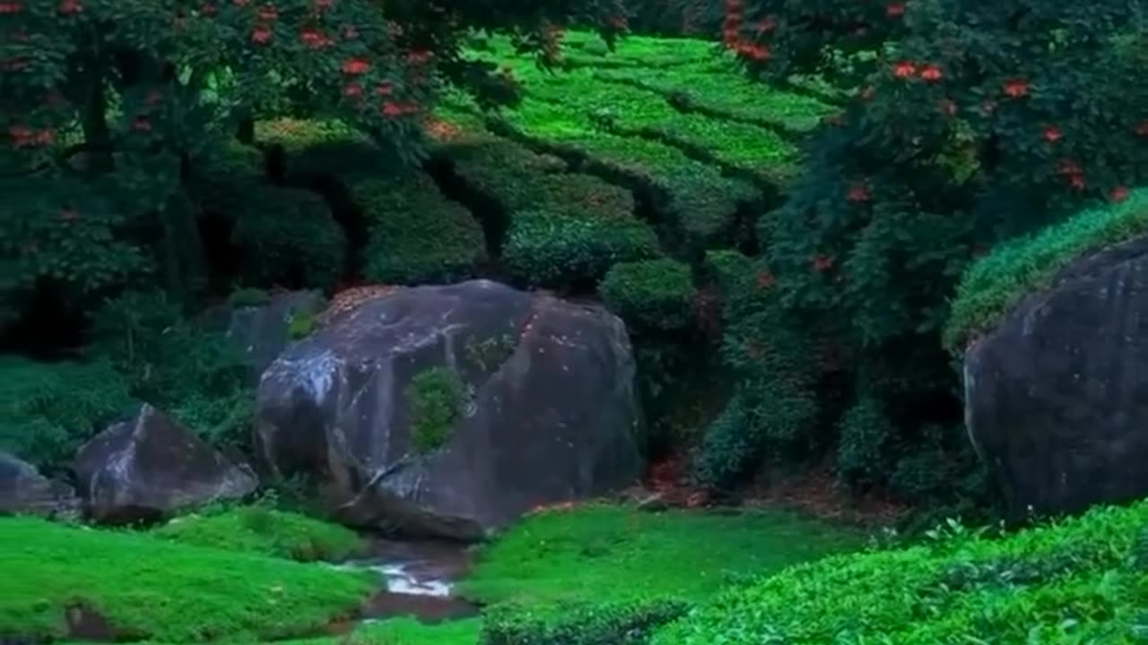 ඒ location එක