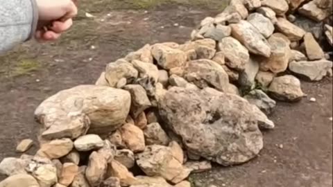 Building a Survival Shelter_ My Wilderness Guide