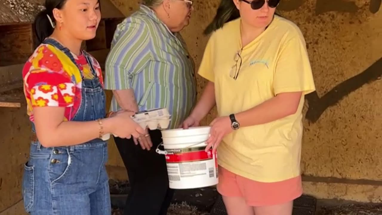 When you visit the Farm