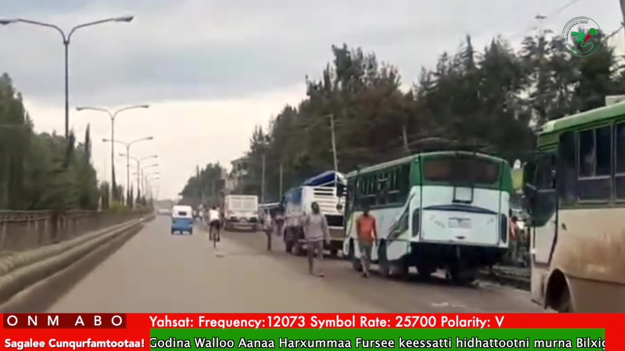 Oduu Waaree ONM-ABO Fulbaana 14-2025 itti dhiyaadhaa!