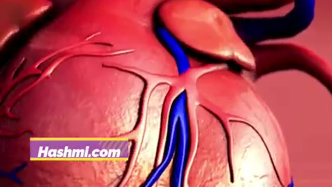 Sardi में बादाम खाओ,सेहत पाओ 🥜✨