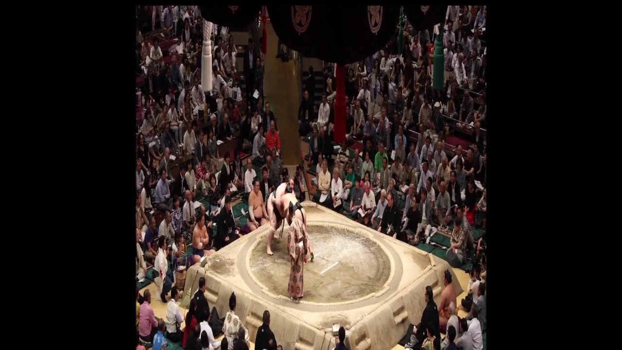 SUMO WRESTLING! .99 Cents Audio & Book!