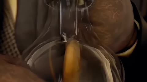 Unknown Facts About Ancient Mummy #shorts #facts #sciencefacts #mummy