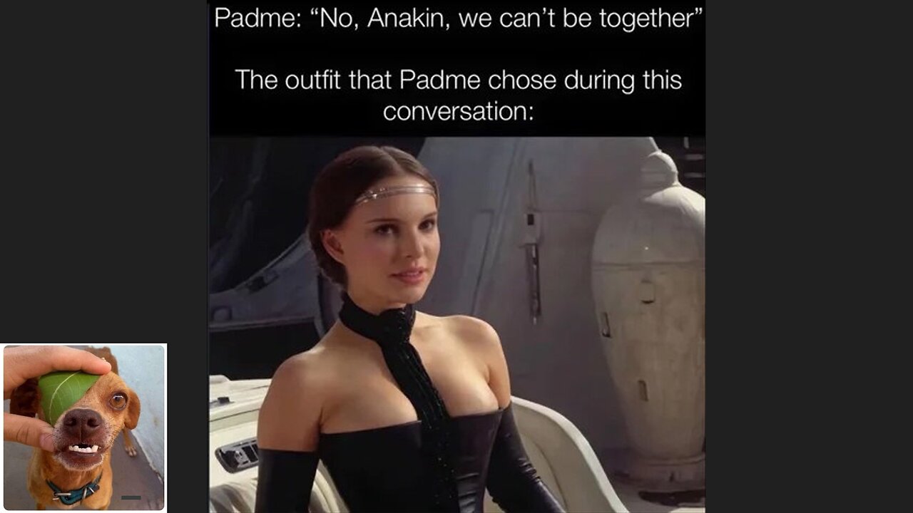 Memes That Will 99.0312% Make You Laugh. (e536)