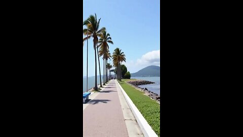 Feel the Island Groove: Hawaiian Reggae Fusion Dance Cover