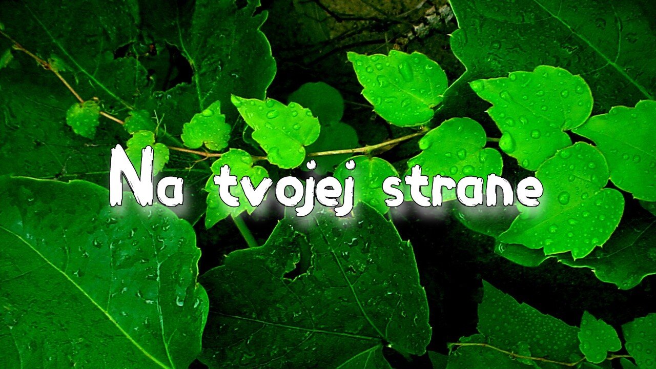 Na tvojej strane (Slamkovci)