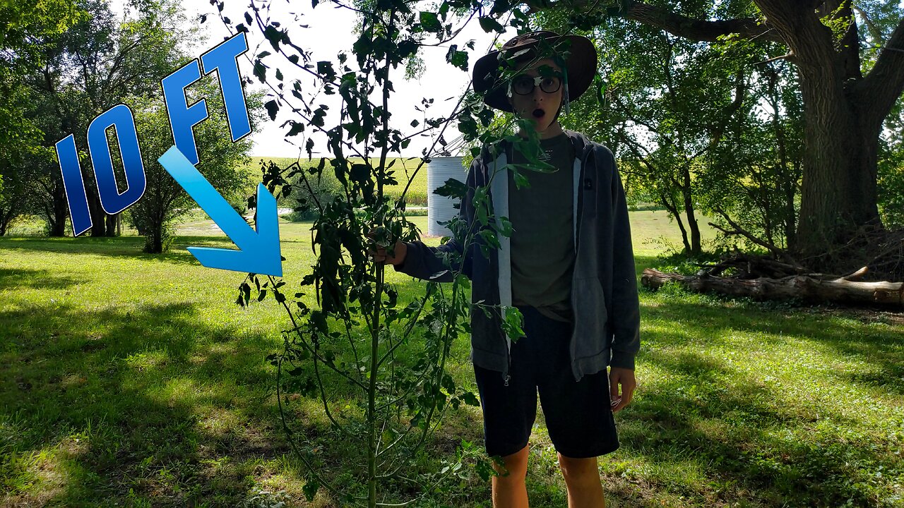 How to Forage Safely - HE 1