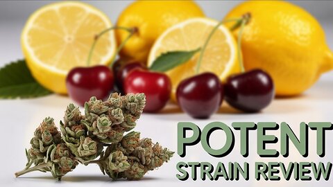 Lemon 🍋 Cherry 🍒 Gelato JK DISTRO