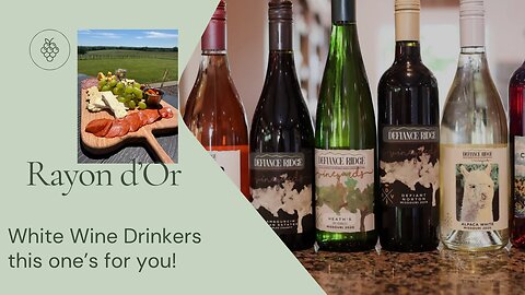 Wine Drinkers introducing you to the hybrid grape Rayon d'Or