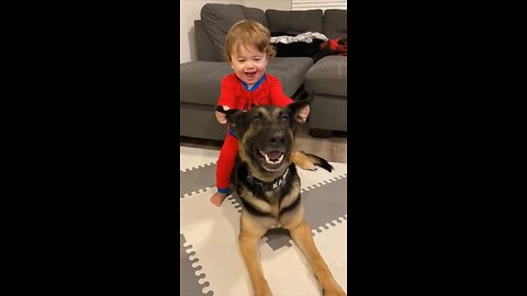 Baby laughs uncontrollably because of his funny dog
