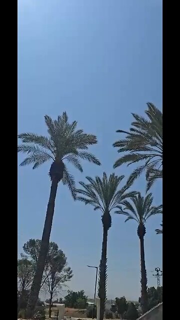 Apache Chases Iranian Shahed-136 Drone Over Israel — Aerial Engagement Captured Pt.1