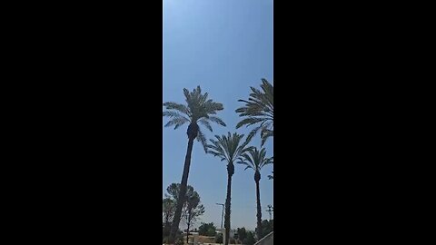 Apache Chases Iranian Shahed-136 Drone Over Israel — Aerial Engagement Captured Pt.1