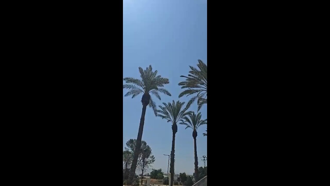 Apache Chases Iranian Shahed-136 Drone Over Israel — Aerial Engagement Captured Pt.1
