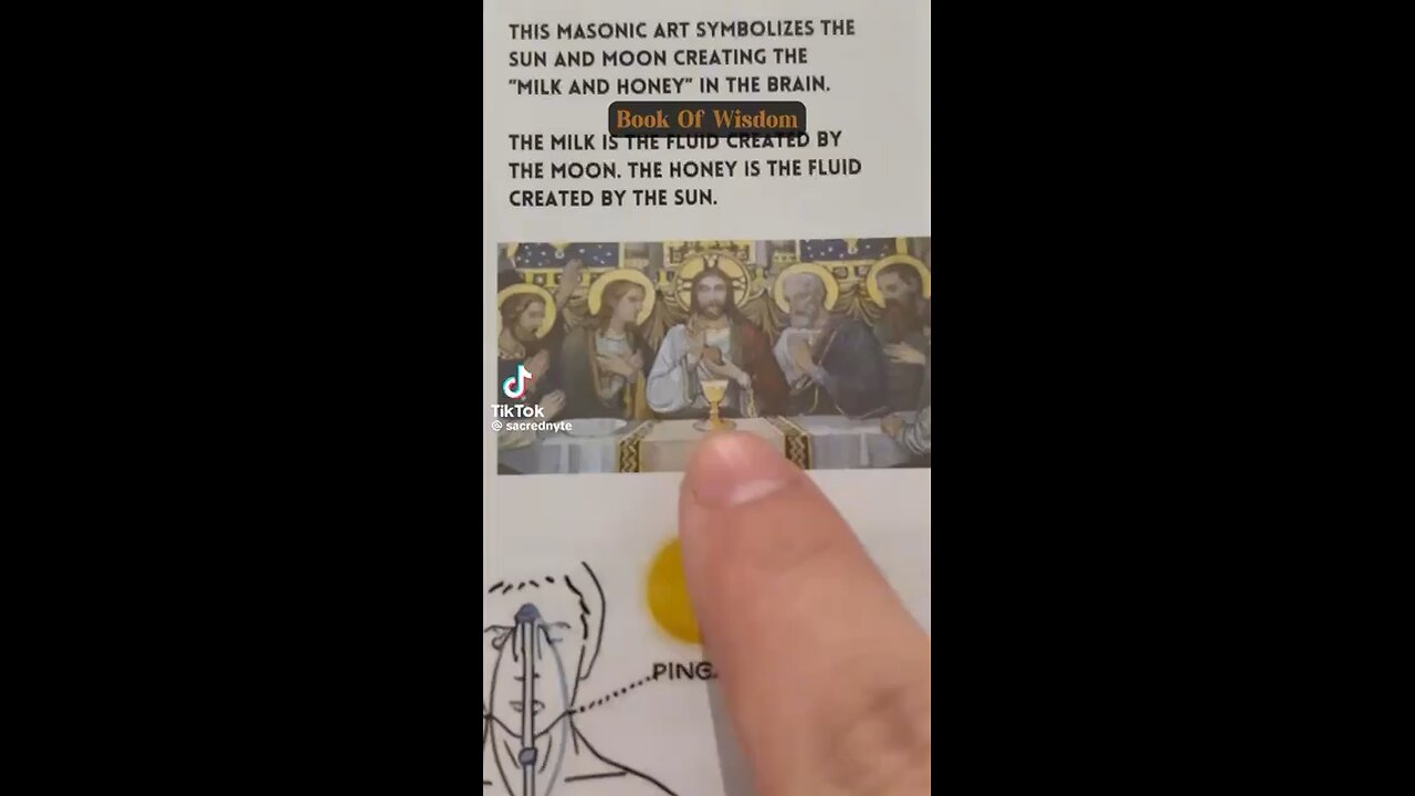 More on the Pineal gland