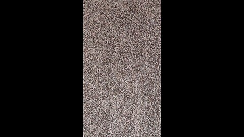 Test 502