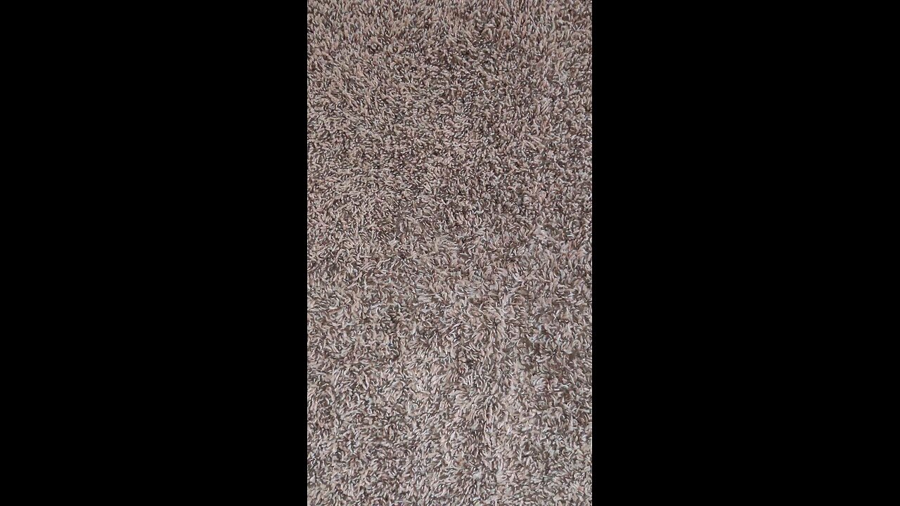 Test 502