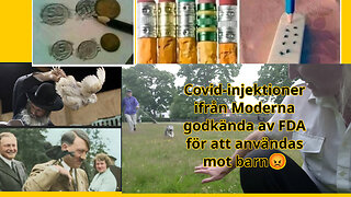 6468 soldater dödade i Srbebrenica. Ukrainare hjälper Putin bomba. Antisionism säljer. Lärande memes