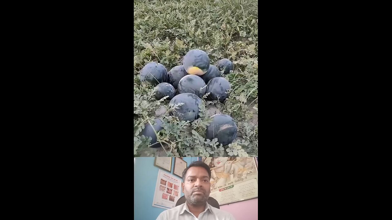 क्या शुगर में तरबूज को खा सकते है ।