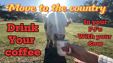 Coffee in My PJs With a Cow — This Is Country Living