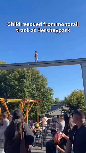 moment guest rescues young boy found walking across monorail tracks