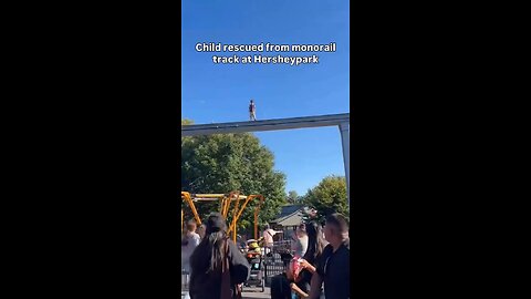 moment guest rescues young boy found walking across monorail tracks