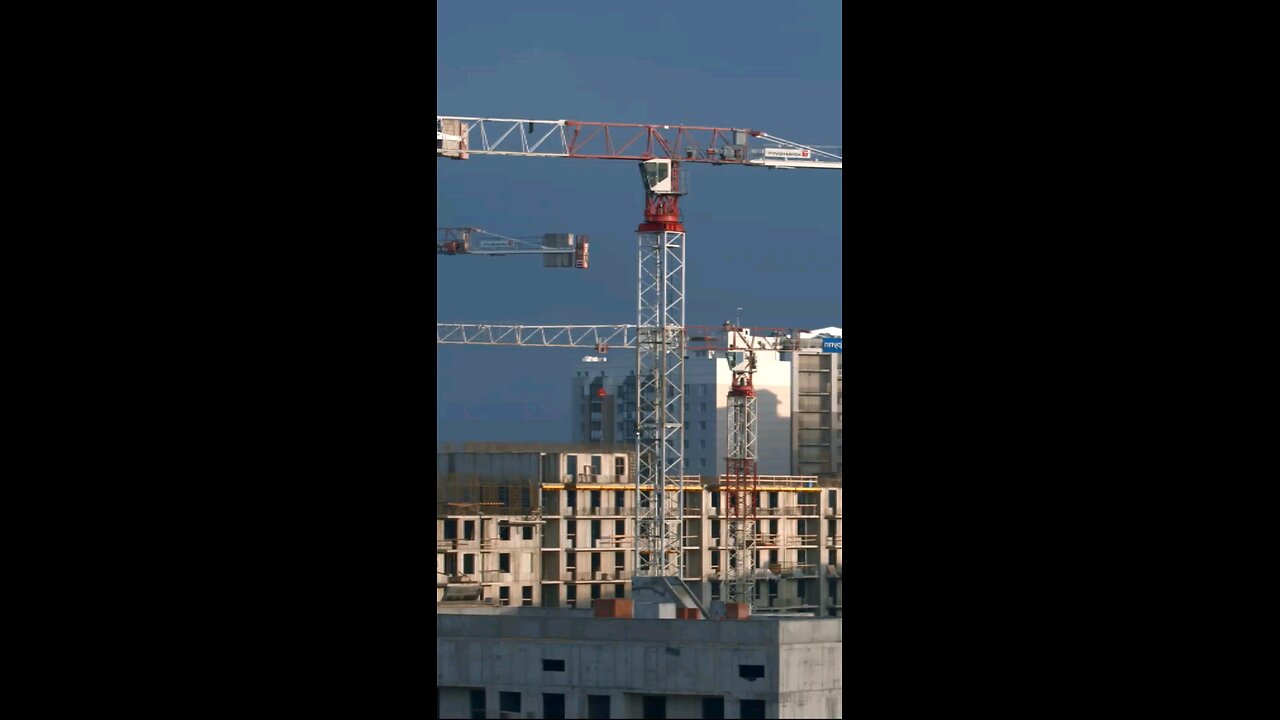 Daily Verse November 12th 2025