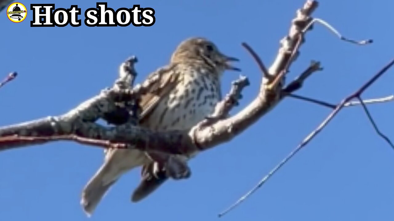 A bird paradise in Asia