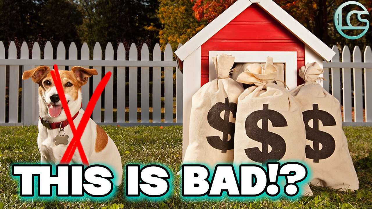 Are Our Dogs Worse for the Planet Than SUVs?🐶