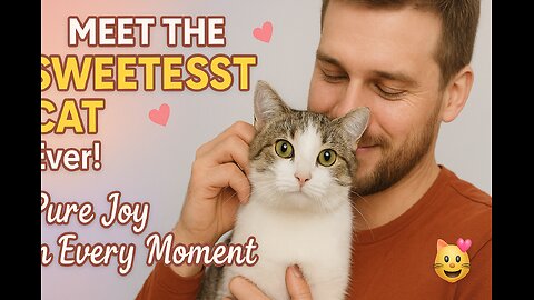 Meet the Sweetest Cat Ever! Pure Joy in Every Moment 😻💕