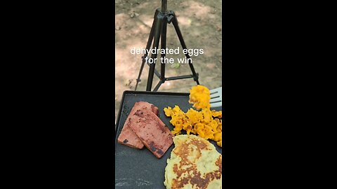 ready made omelet