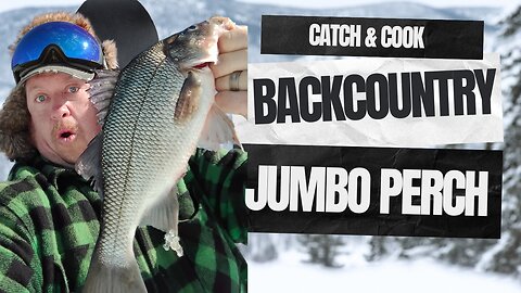 Maine Backcountry Snowmobile Fishing: Epic Jumbo Perch Catch & Cook Adventure #icefishing #snow