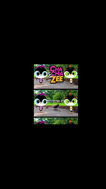 Searching for Mommy Duck Exploring Boston Hidden Secret, Discovering Boston Wildlife with Mommy Duck